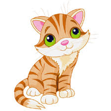 How to Choose and Care for a Cat