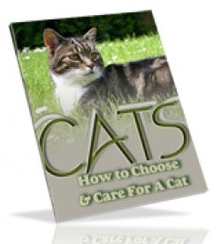 Cat care guide book cover with illustrated tabby cat on grass