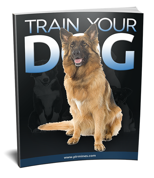 Dog Training Tips